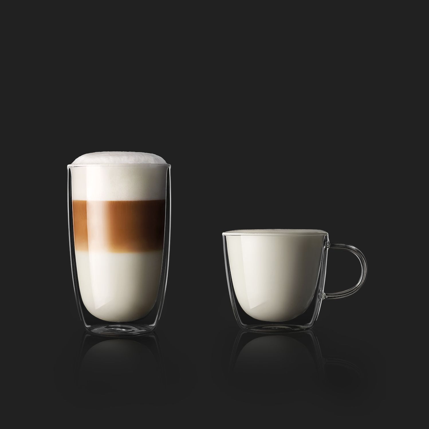 WMF 1500 S+ Easy Milk and Basic Milk